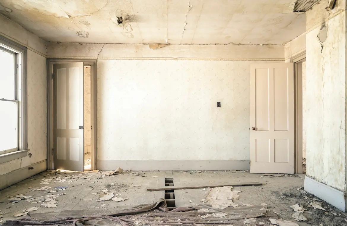 Waste disposal crew managing a cleanout project in Shelton